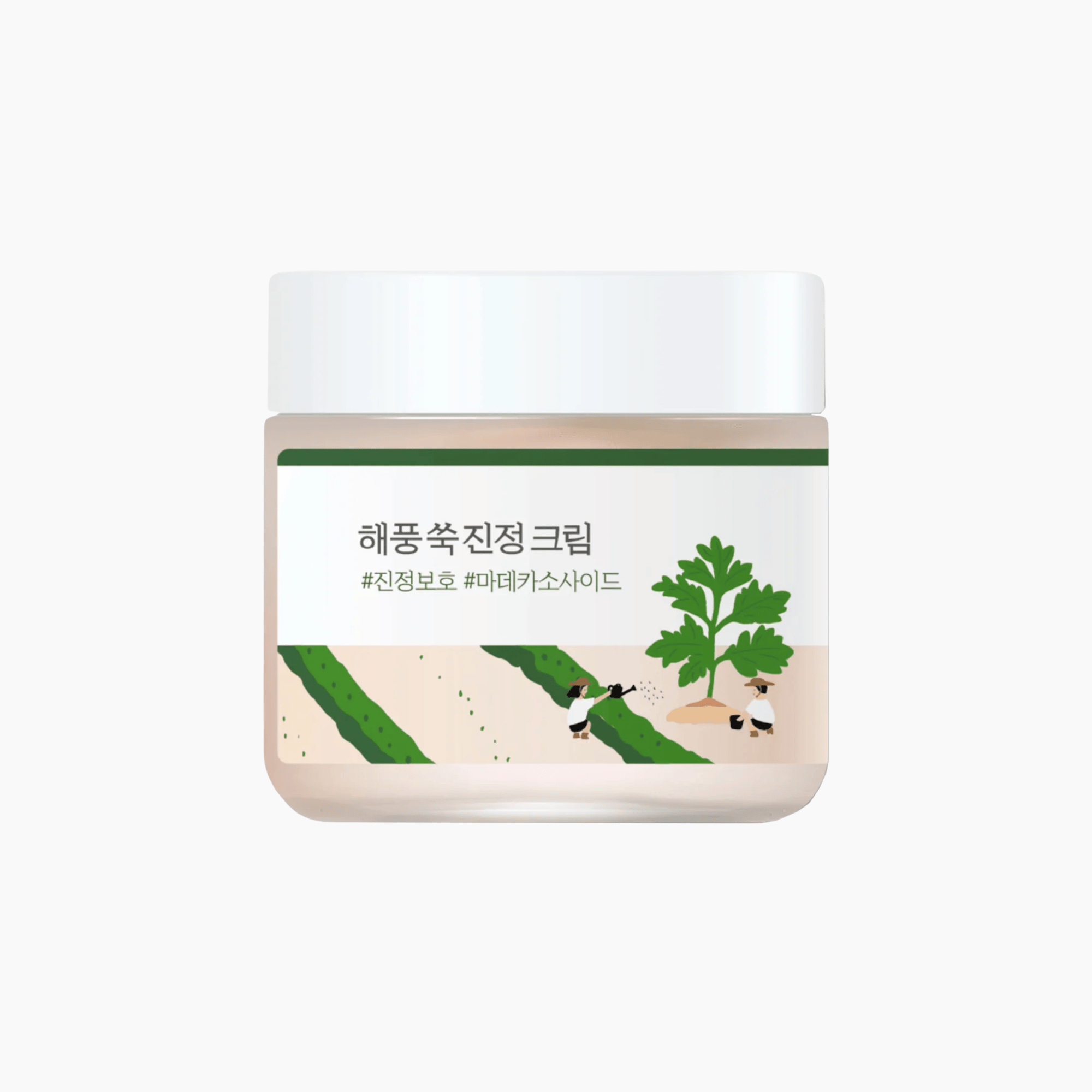 ROUND LAB Mugwort Cream 80ml