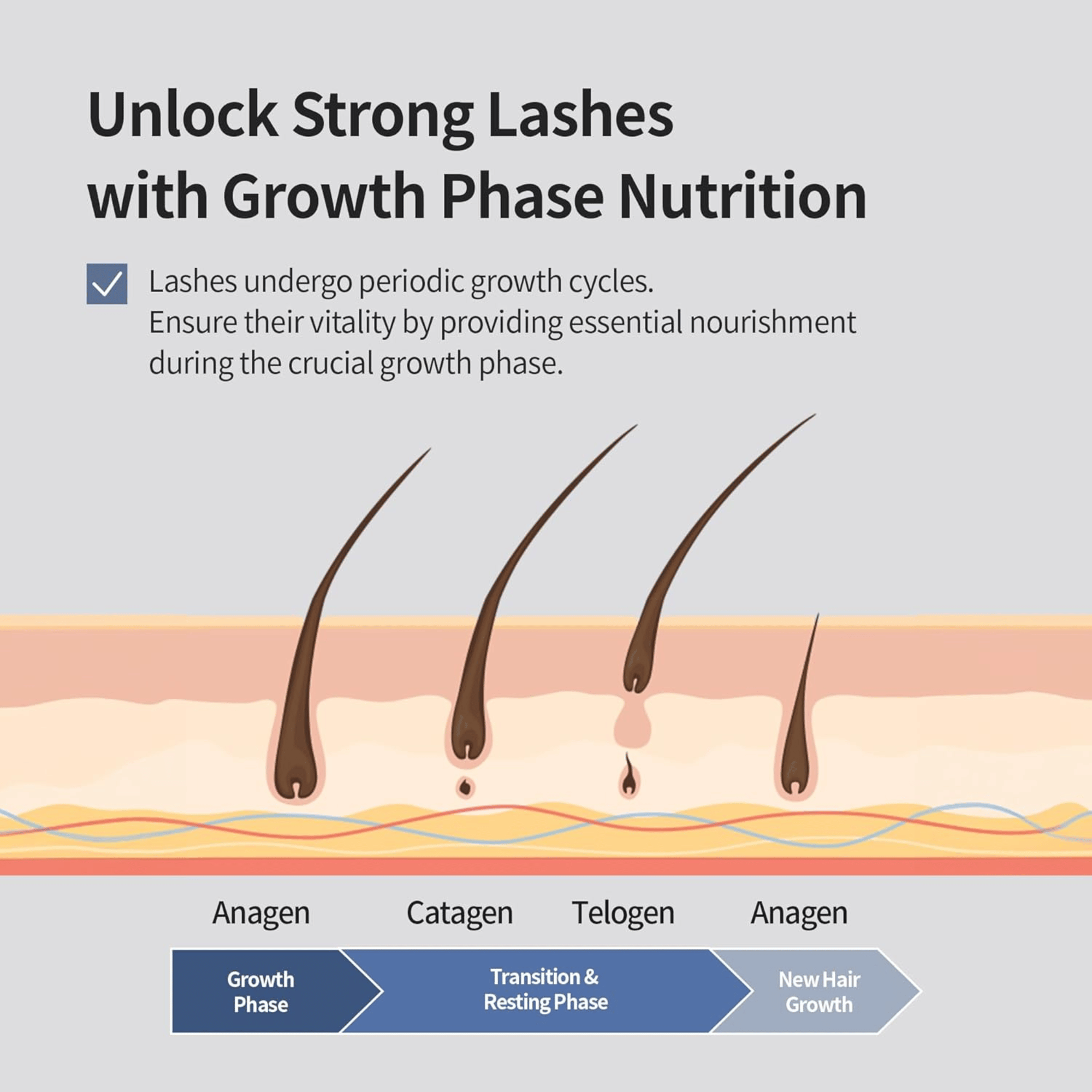 Benton Honest Eyelash Serum 10ml - cosmadic