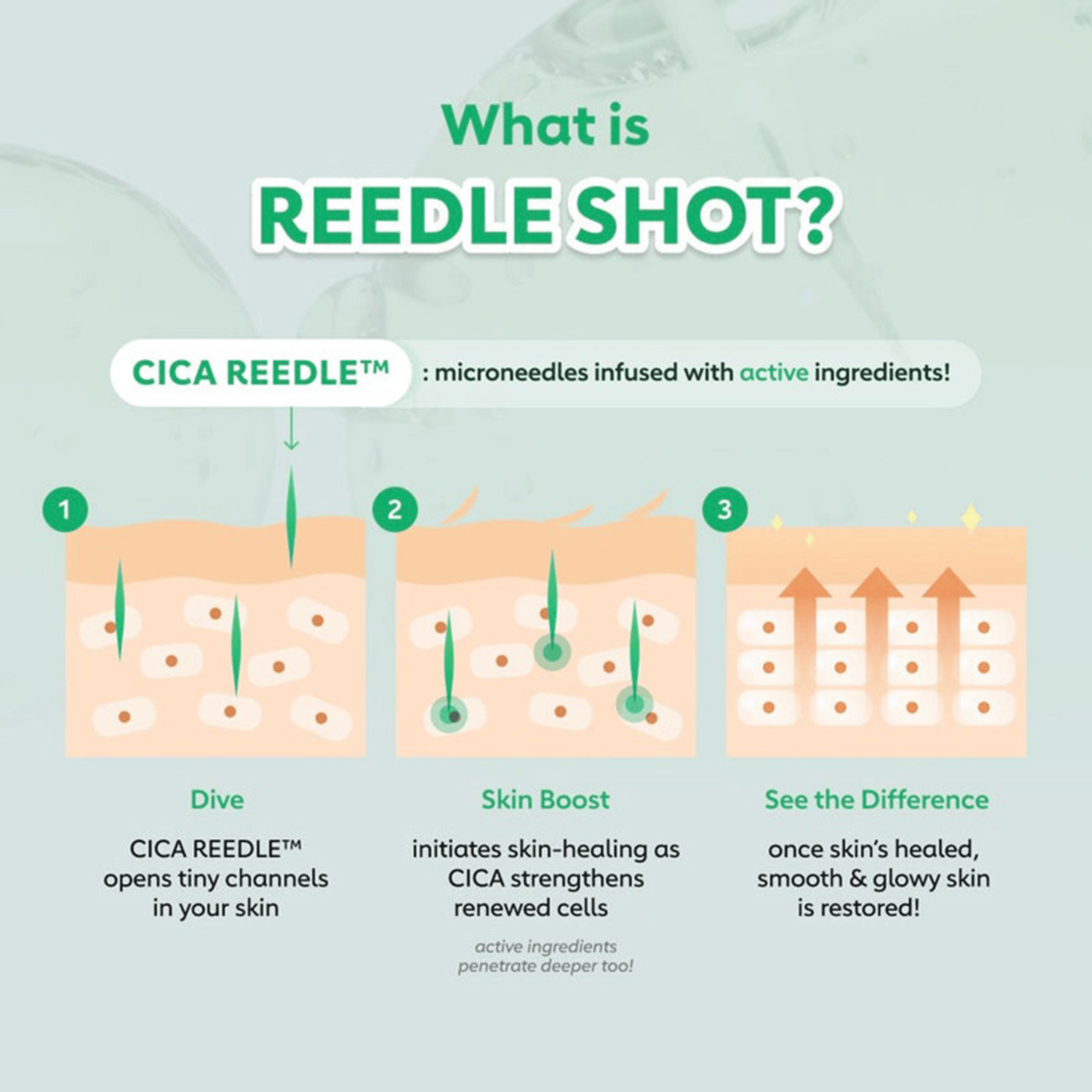 Infografik erklärt die Wirkung von VT Cosmetics Mild Reedle Shot 50