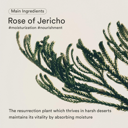 Abib Jericho Rose Bifida Serum Firming Drop 50ml - cosmadic