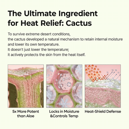 Dr.Melaxin Cactox Pore Relief Multi Balm