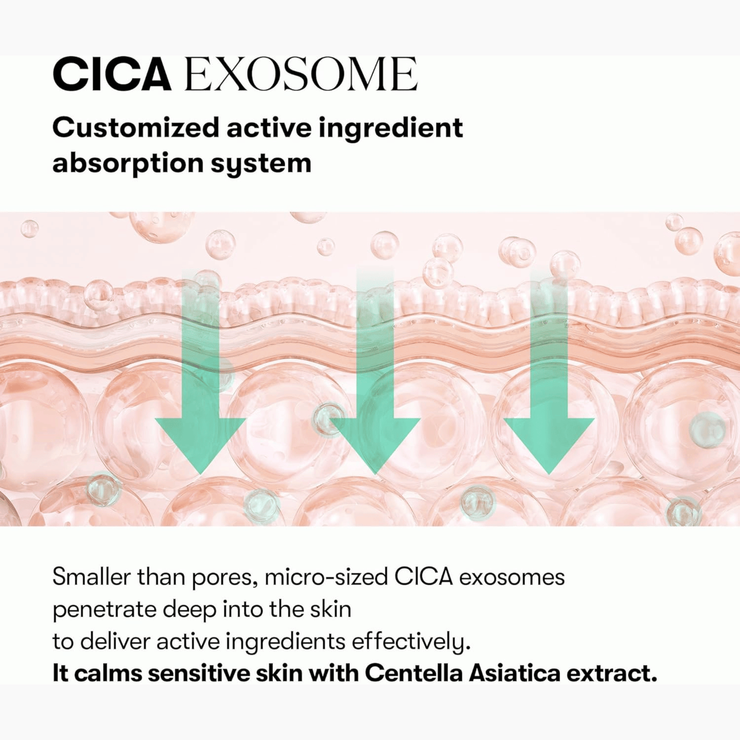VT Cosmetics PDRN Cica Exosome R5 Firming Ampoule 30ml
