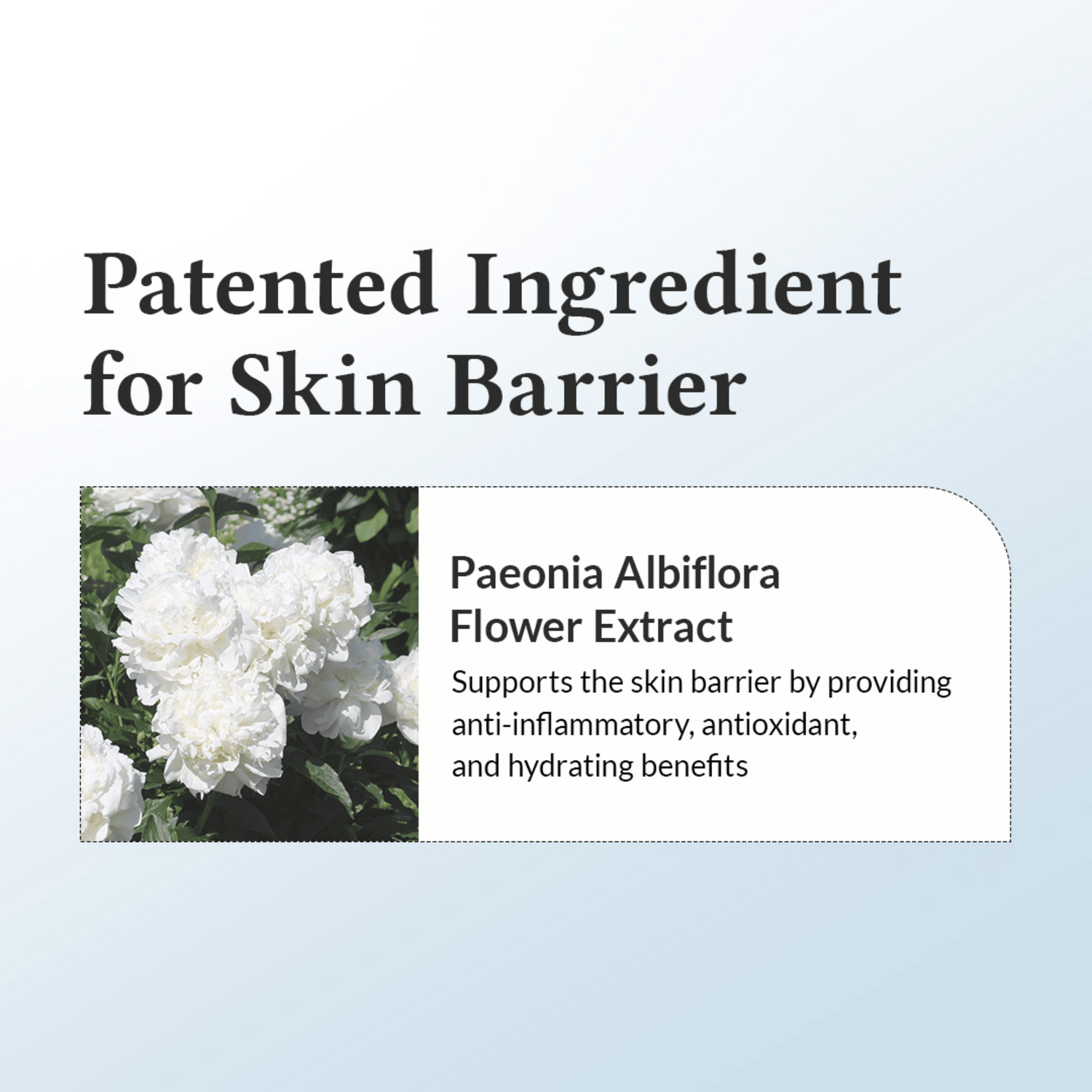 Dr. Althea 147 Barrier Cream 50ml - cosmadic