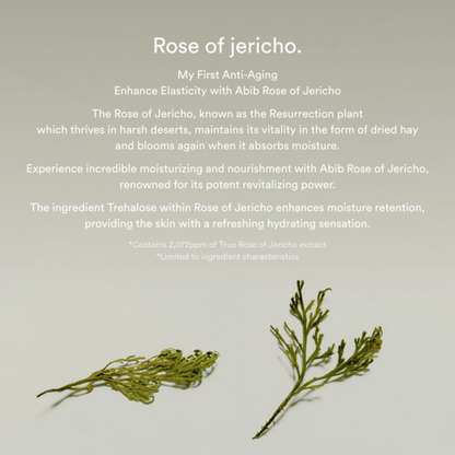 Abib Jericho Rose Bifida Serum Firming Drop 50ml - cosmadic