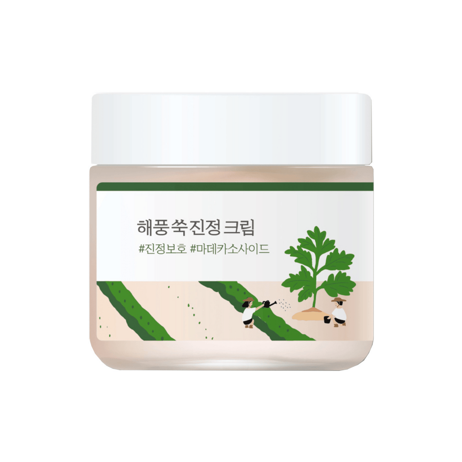 ROUND LAB Mugwort Cream 80ml - cosmadic