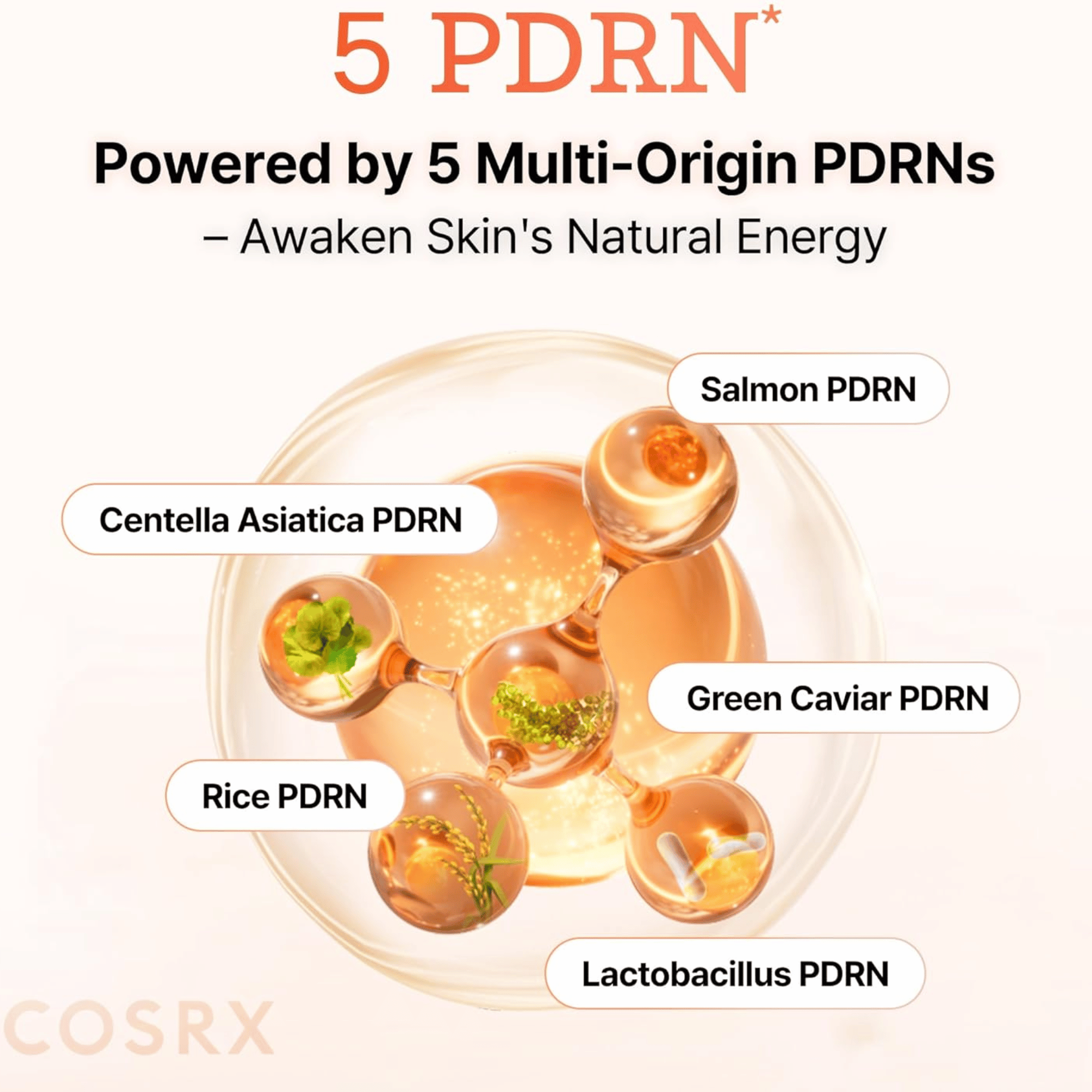 COSRX 5 PDRN B5 Vital Soothing Toner 280ml - cosmadic