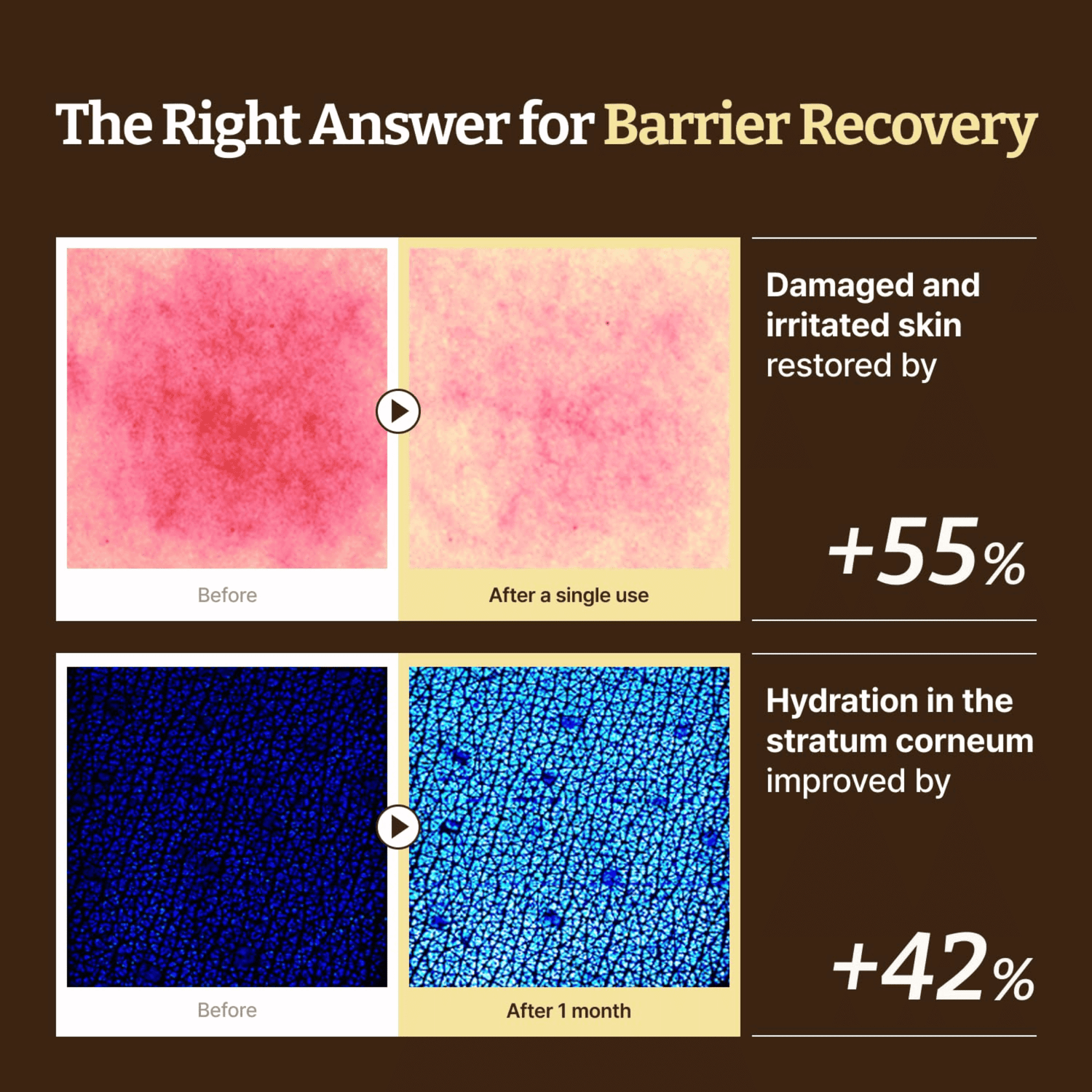 Dr. Reju-All Advanced LC-Ceramide Barrier Cream 50ml - cosmadic