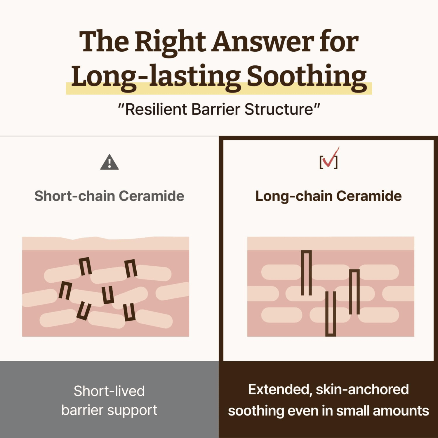 Dr. Reju-All Advanced LC-Ceramide Barrier Cream 50ml - cosmadic